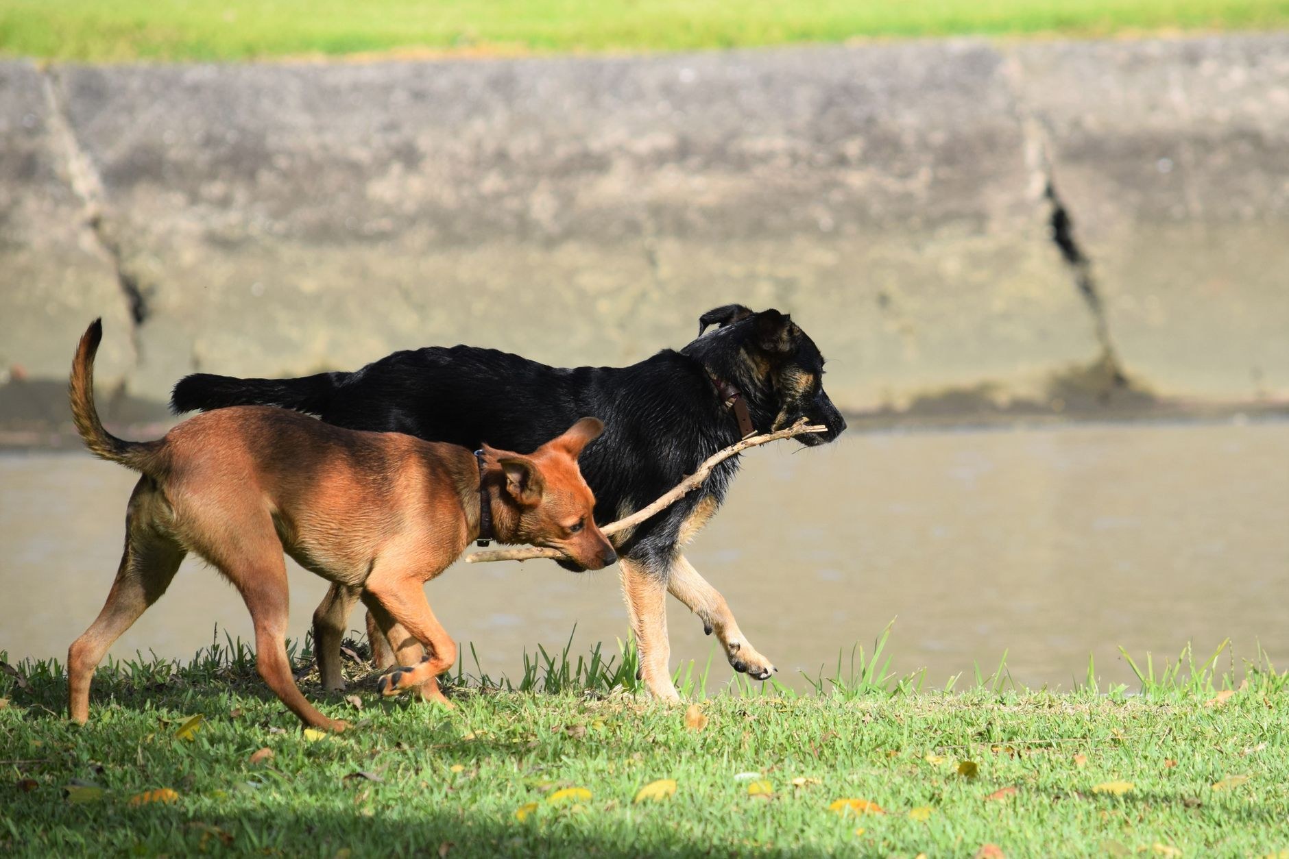 Play time